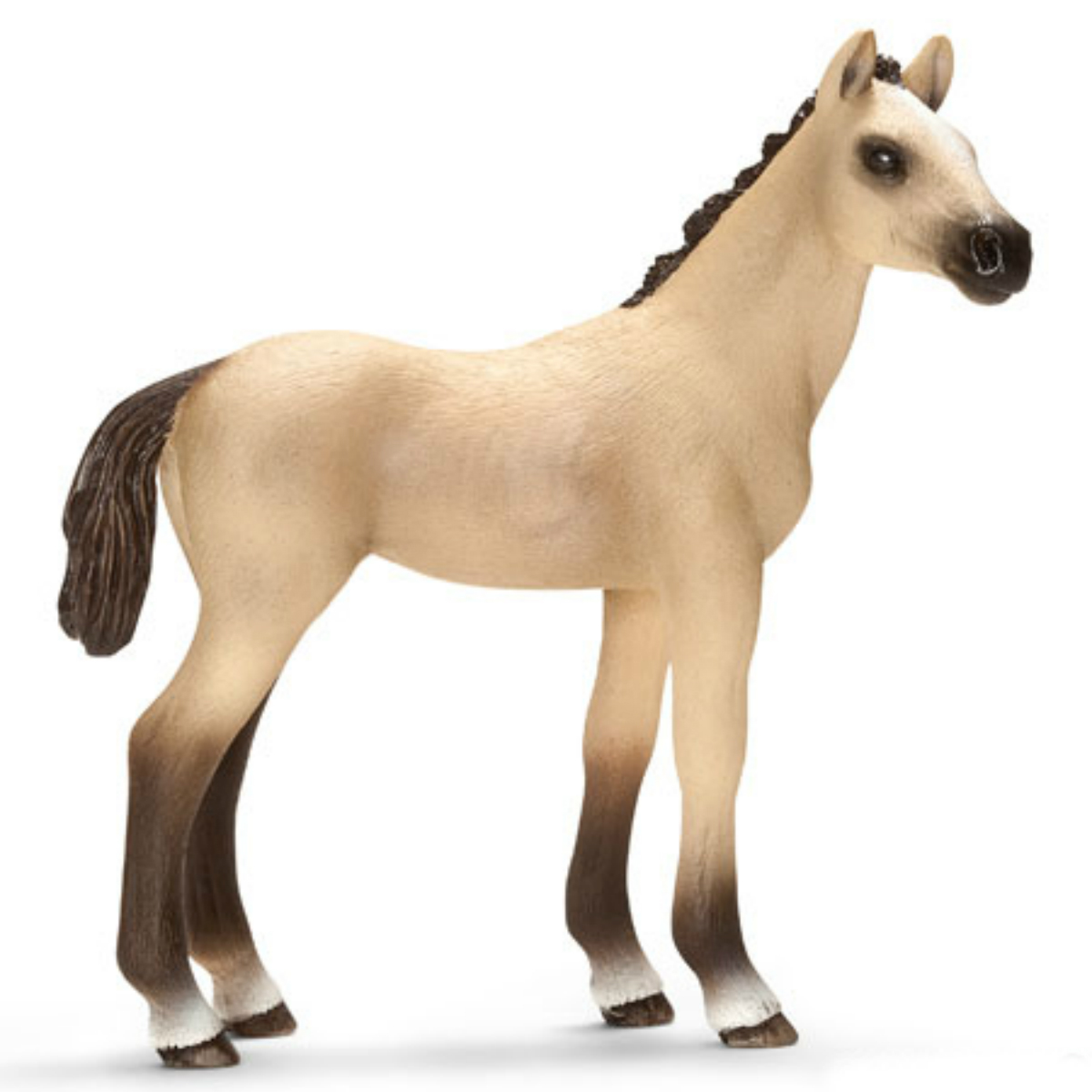 Жеребенок ахалтекинский