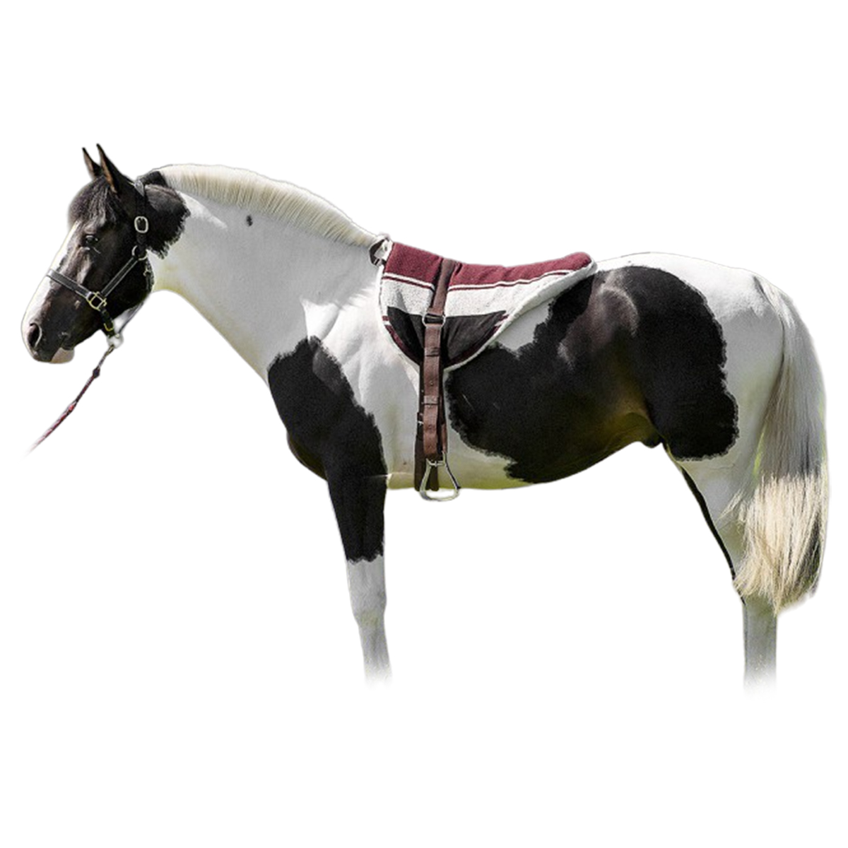 Седло Bareback NORTON в сборе, 101050