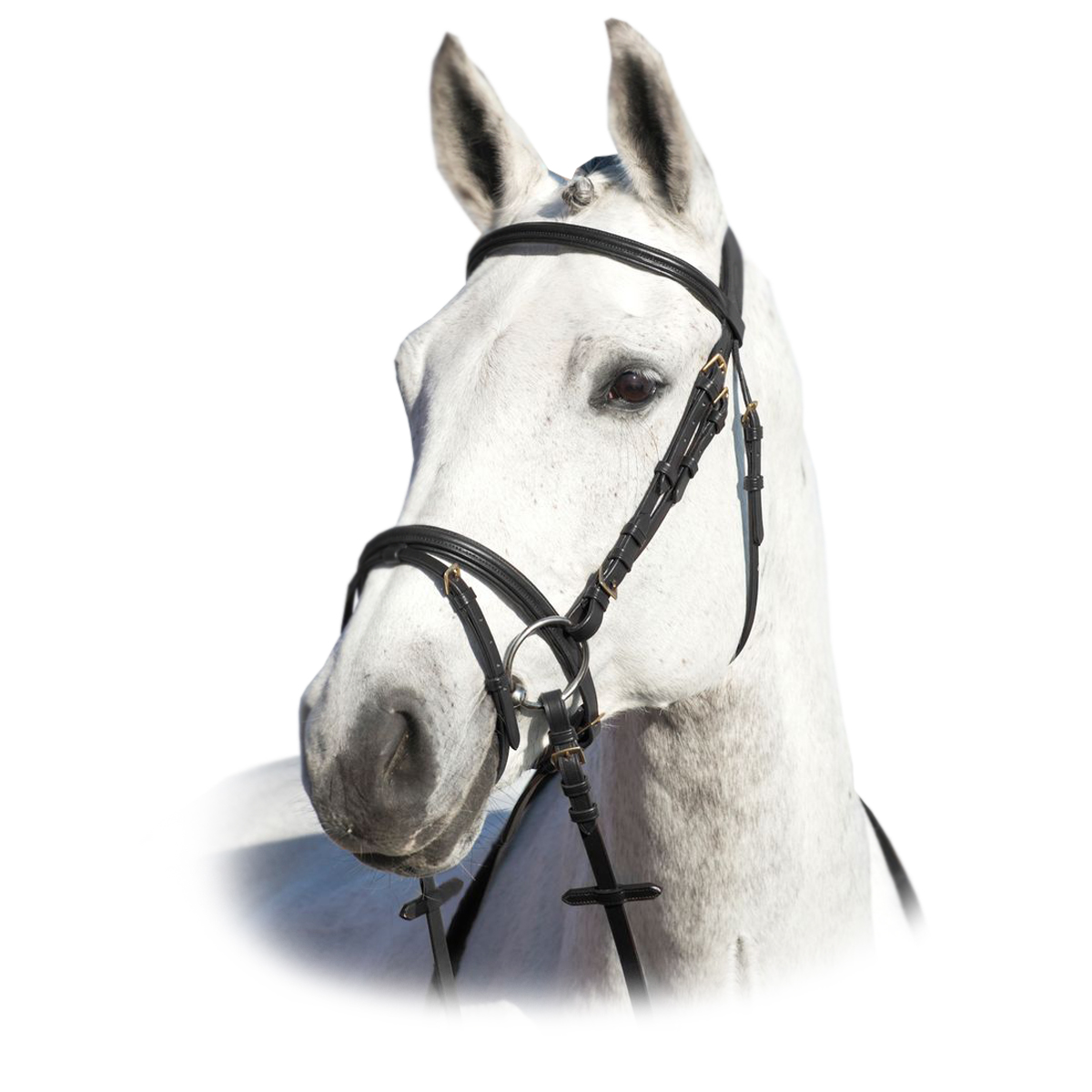 Оголовье трензельное "Horze Lormont" Оголовье трензельное "Horze Lormont"