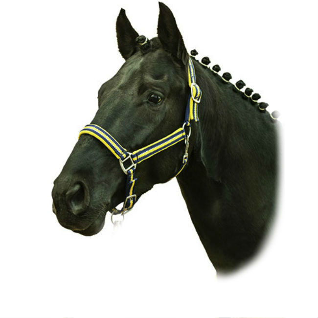 Недоуздок нейлоновый НКМ со светоотражающей тесьмой Недоуздок нейлоновый НКМ со светоотражающей тесьмой