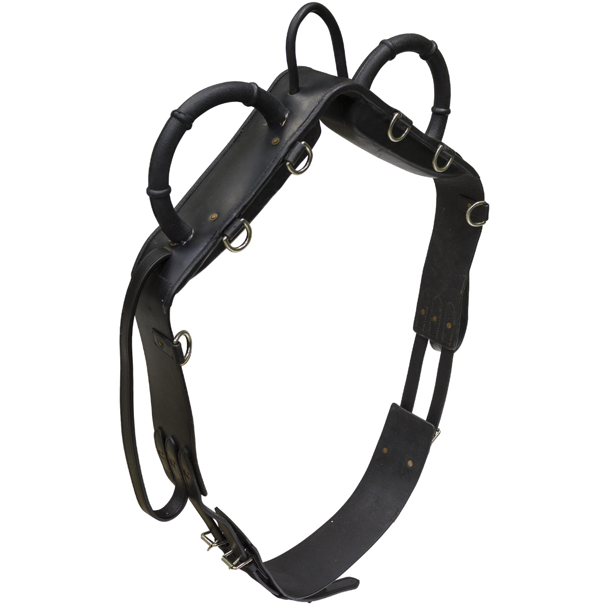 Гурта вольтижировочная