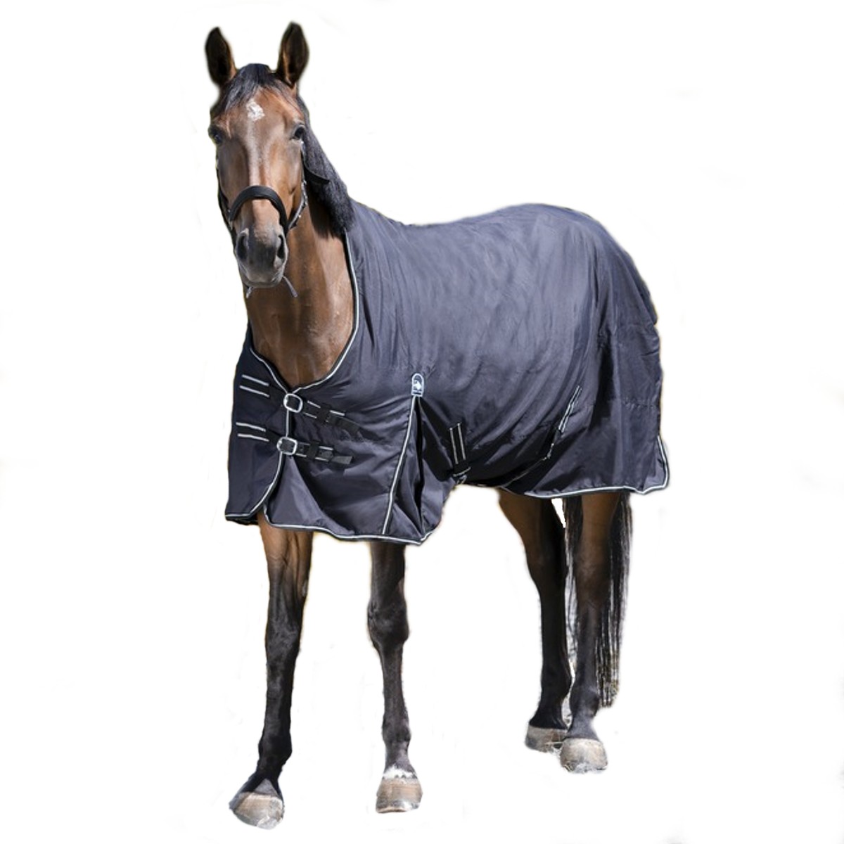 Попона противодождевая на флисе для лошади Попона противодождевая на флисе для лошади