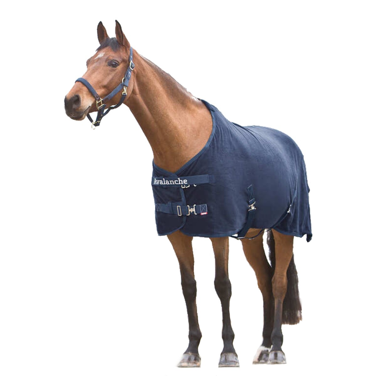 Попона флисовая Avalanche для лошади