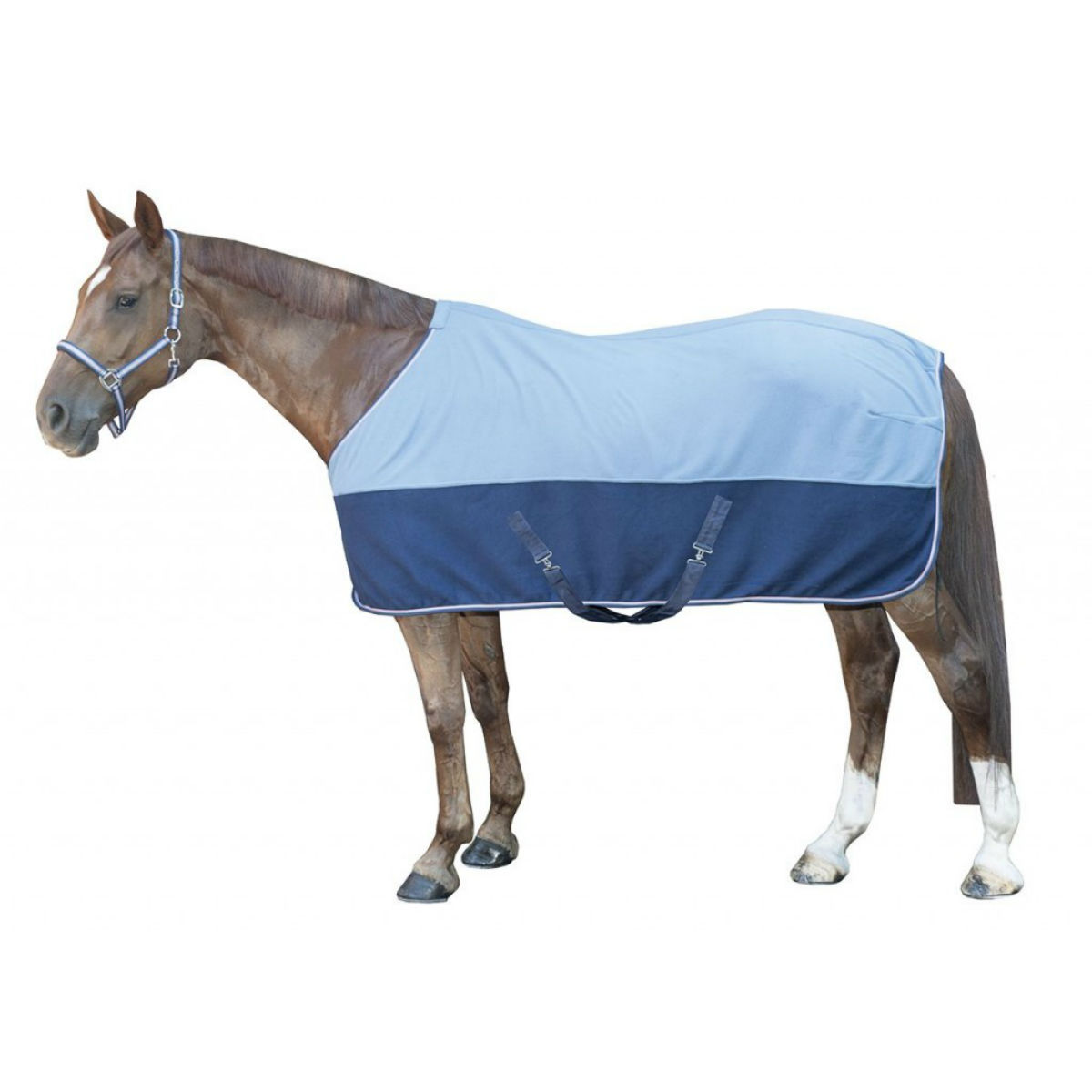 Попона НКМ "Vororder" для лошади