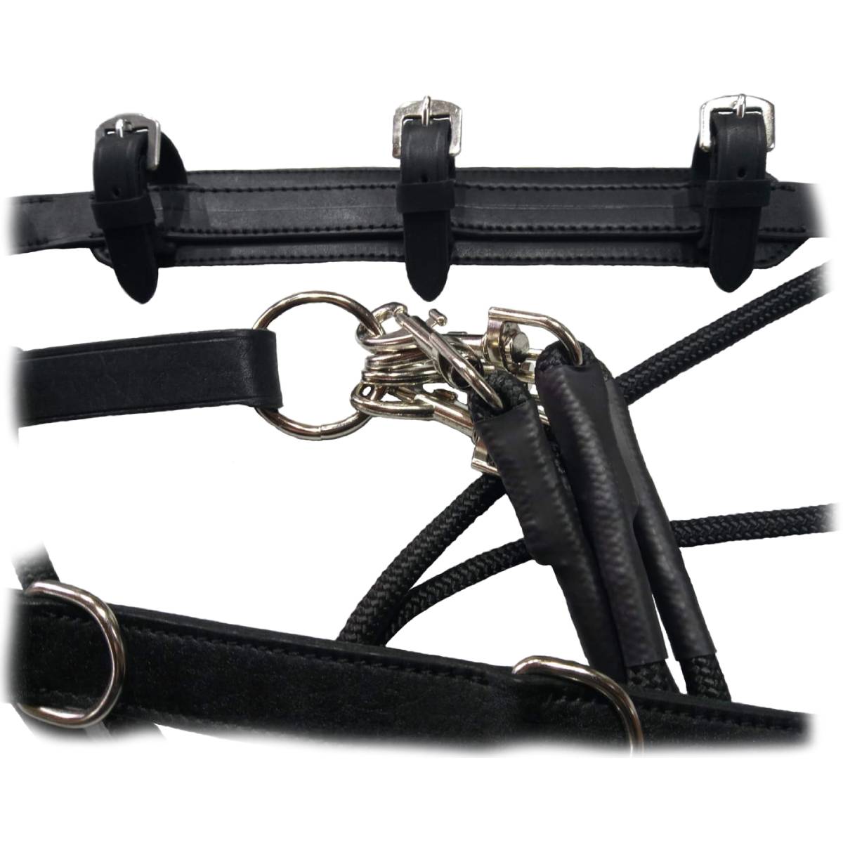 Гог на карабинах Гог на карабинах