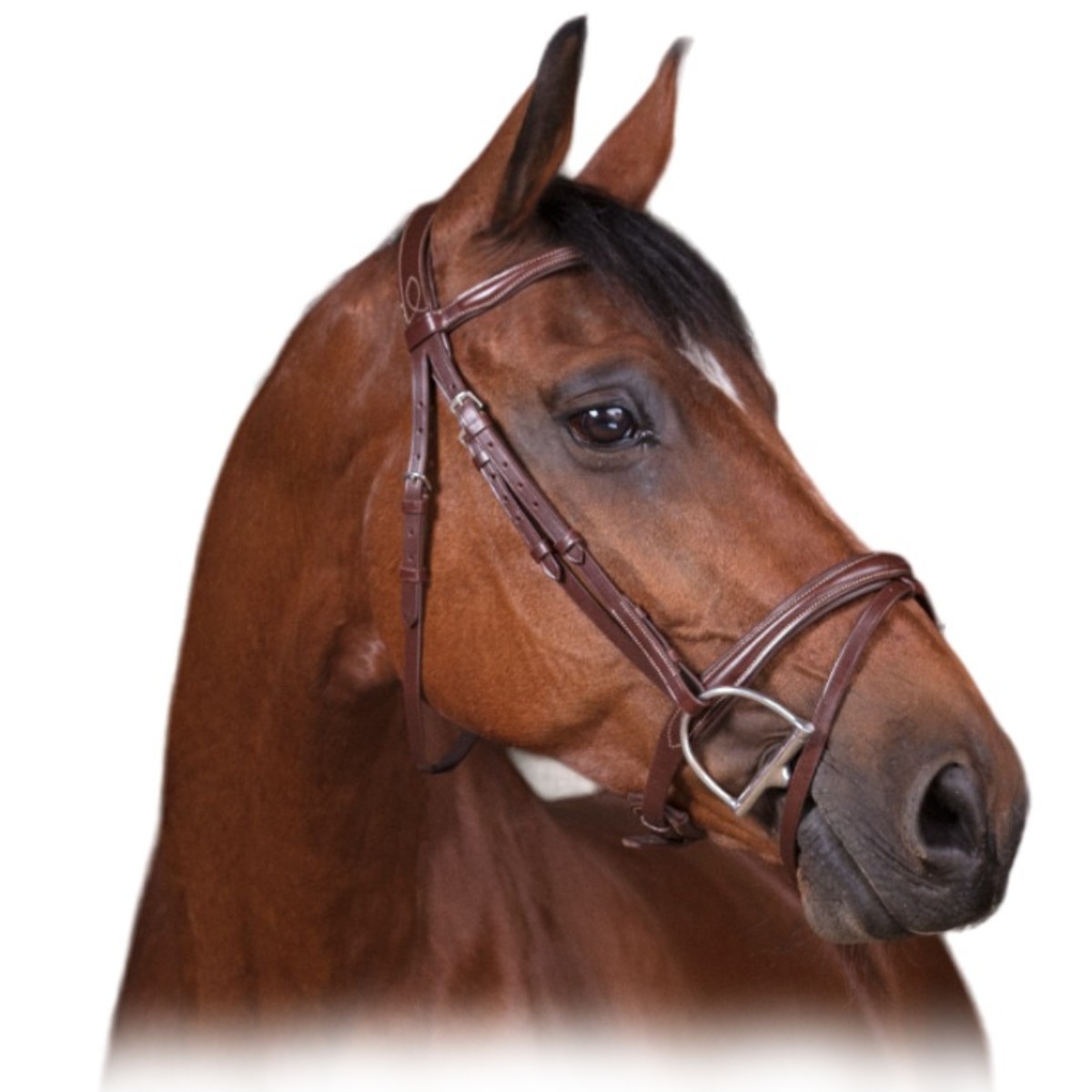 Оголовье трензельное "COMBINÉE" Оголовье трензельное "COMBINÉE"