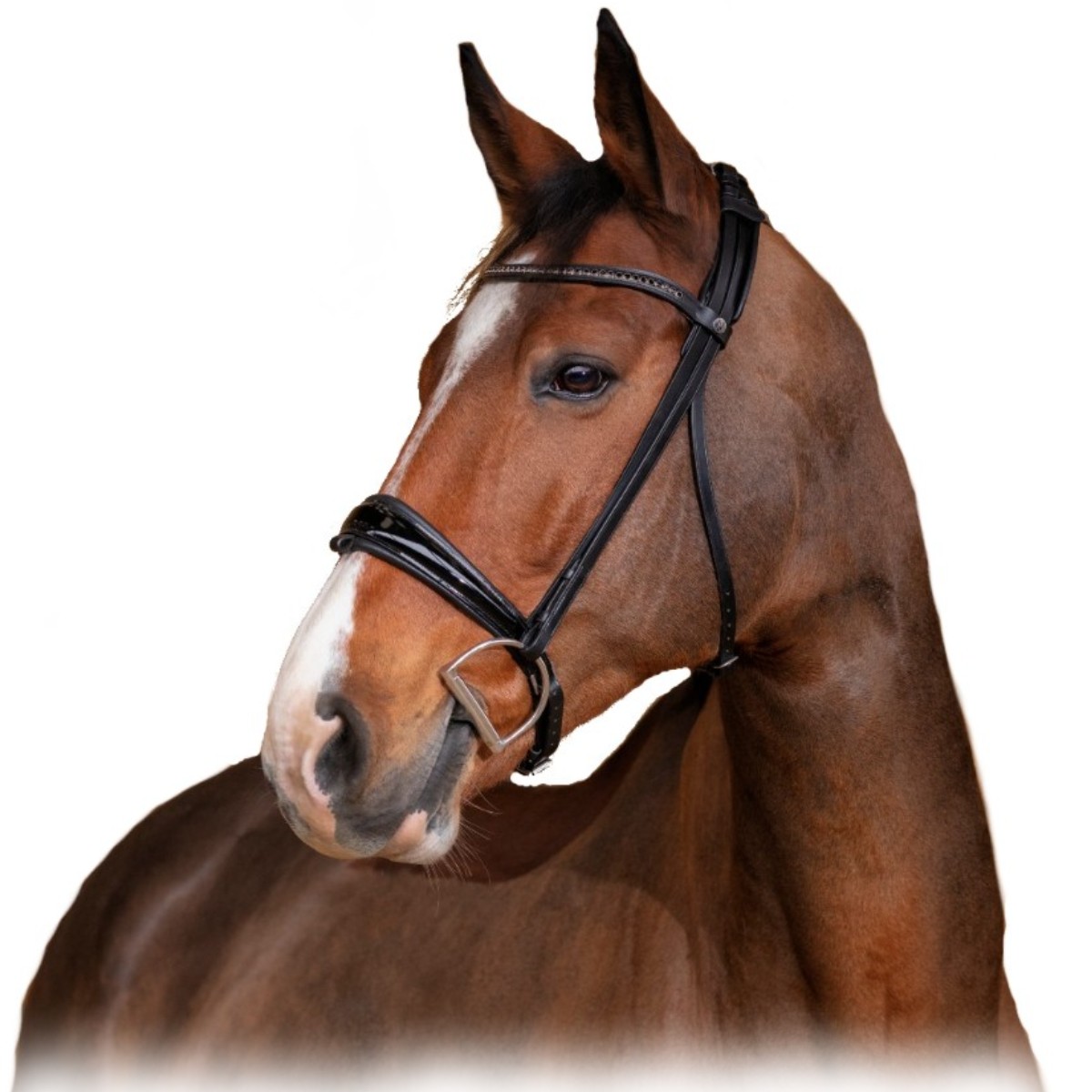 Оголовье трензельное "ÉCLAT"