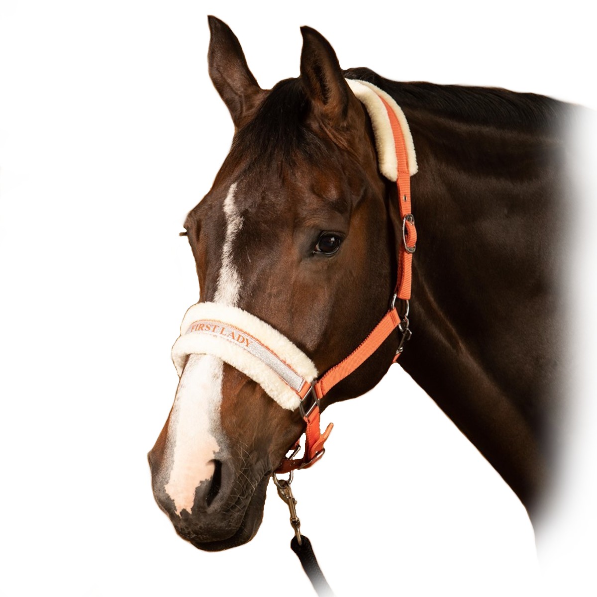 Недоуздок с мехом "Lyrics VI" Недоуздок с мехом "Lyrics VI"