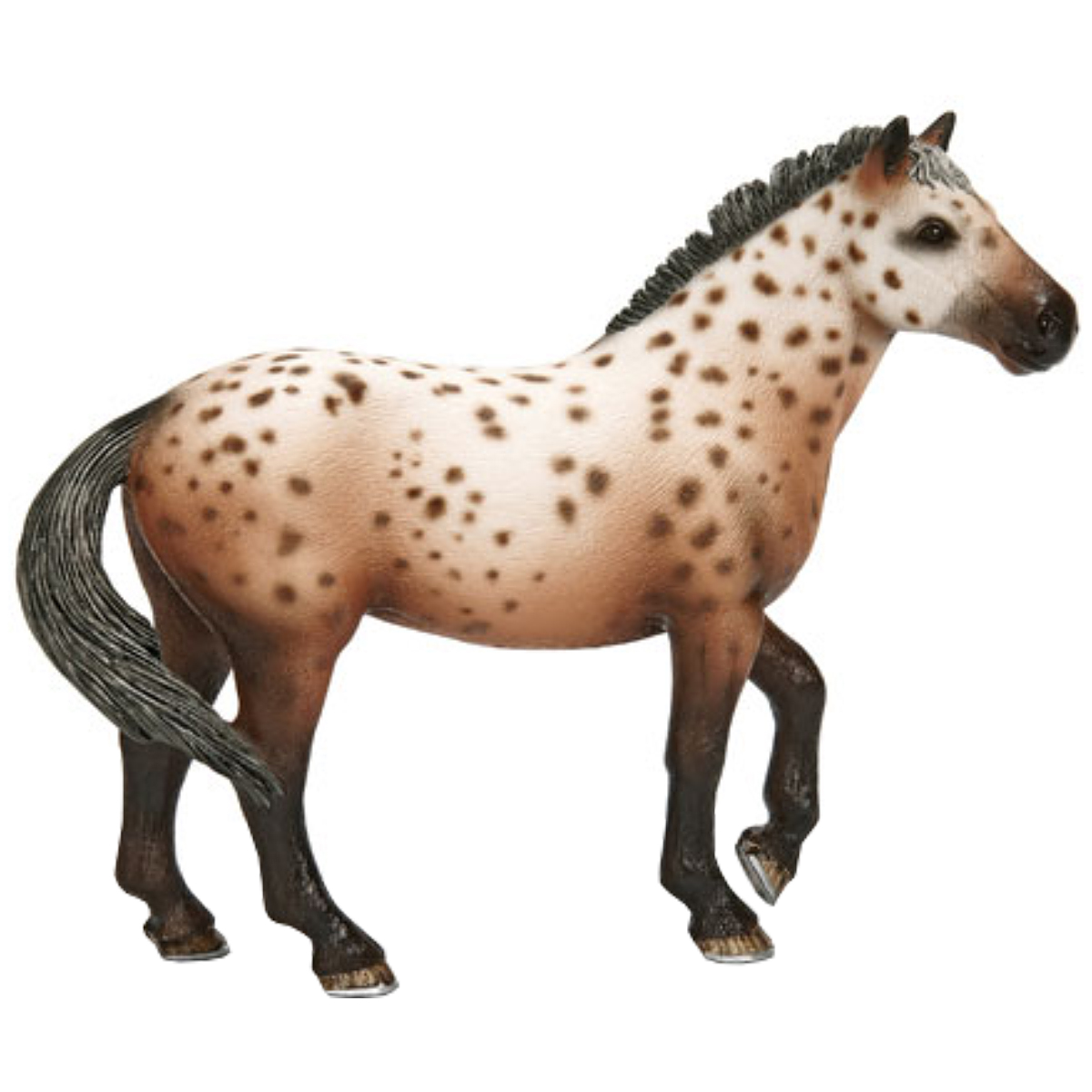 Жеребец кнабструппер Жеребец кнабструппер