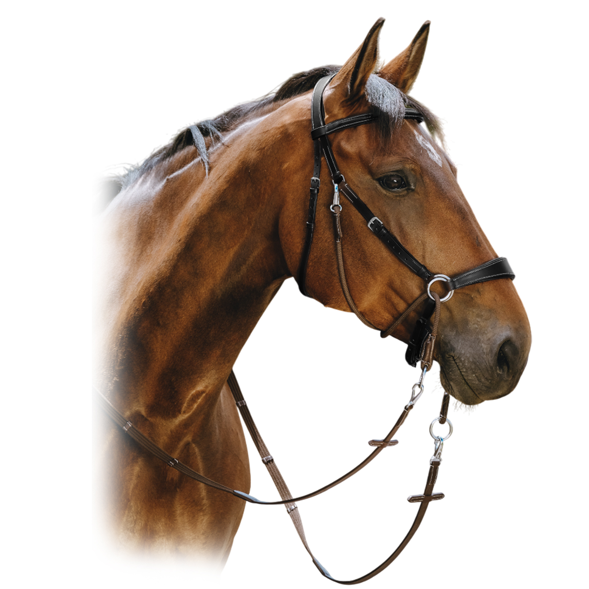 Оголовье безтрензельное Norton Pro Bitless Оголовье безтрензельное Norton Pro Bitless