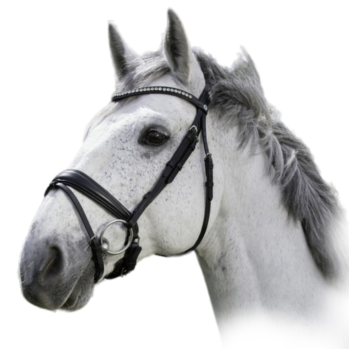 Оголовье трензельное "STRASS"