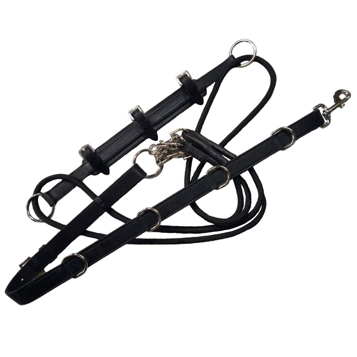 Гог на карабинах Гог на карабинах