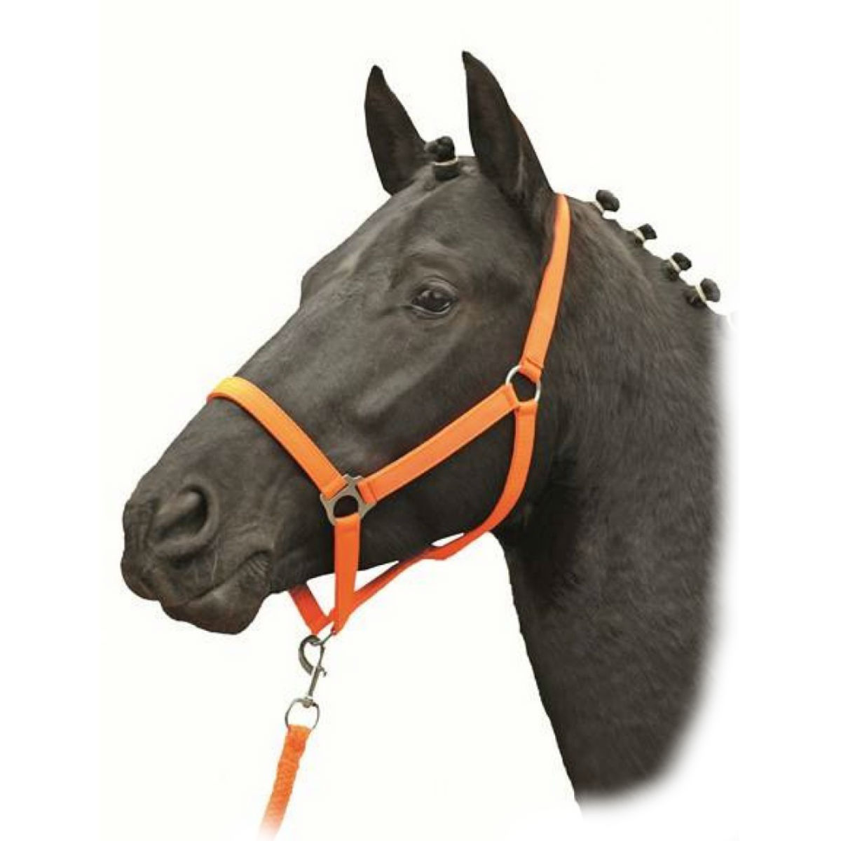 Недоуздок нейлоновый  "Star Economy Softice"