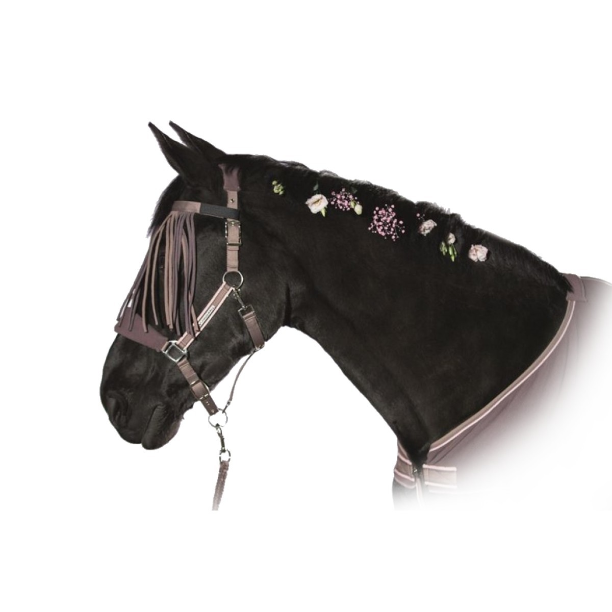 Комплект (недоуздок+чумбур+налобник от насекомых) Комплект (недоуздок+чумбур+налобник от насекомых)