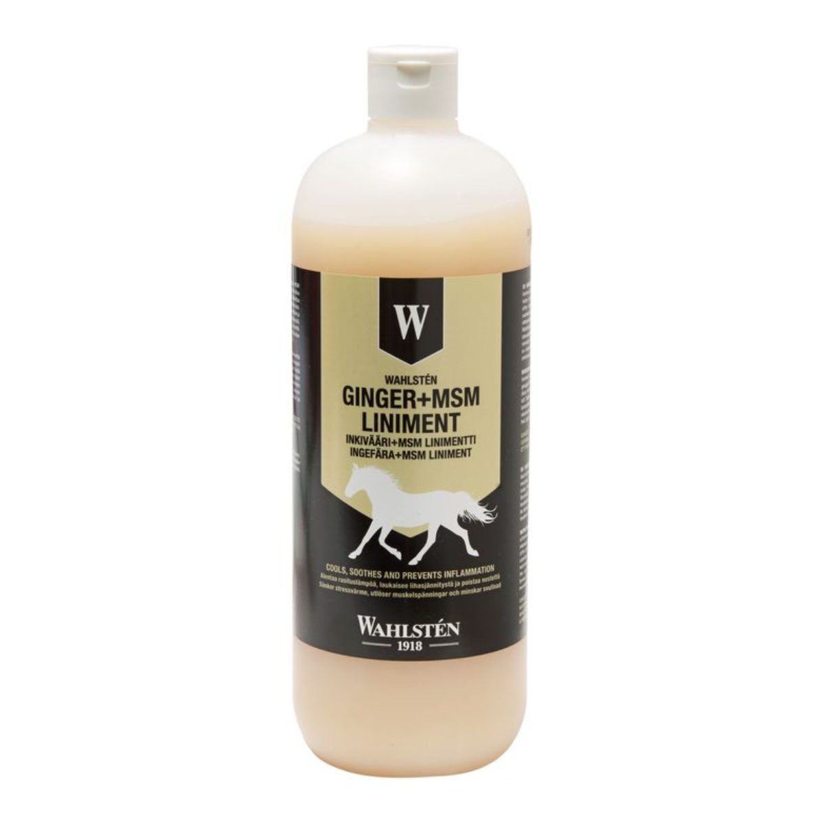 Линимент - Ginger + MSM, 1 л