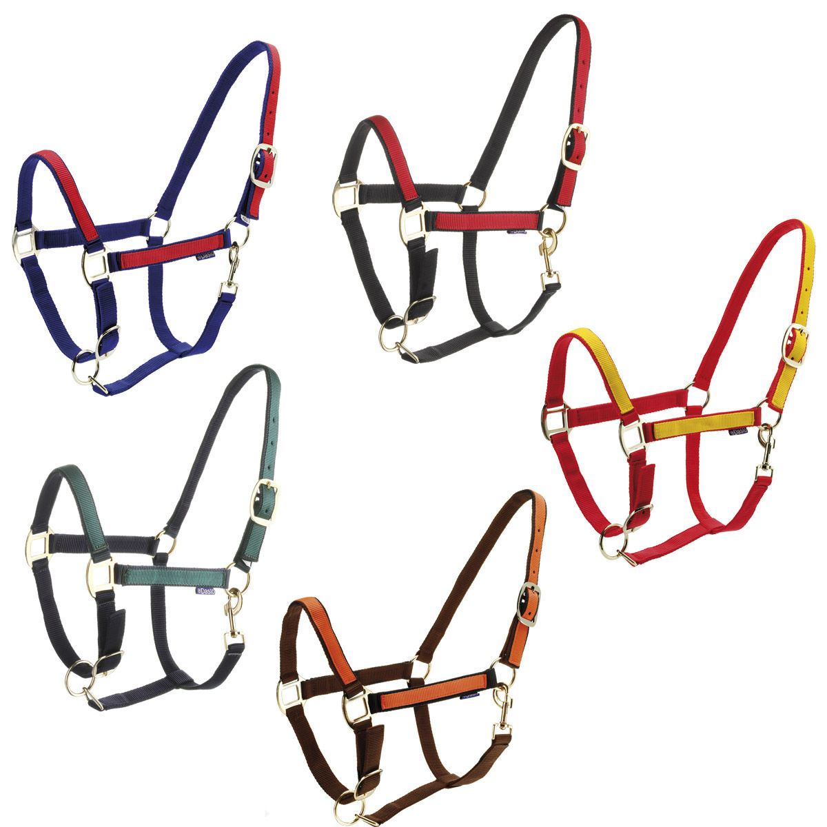 Недоуздок нейлоновый "Roma" Недоуздок нейлоновый "Roma"