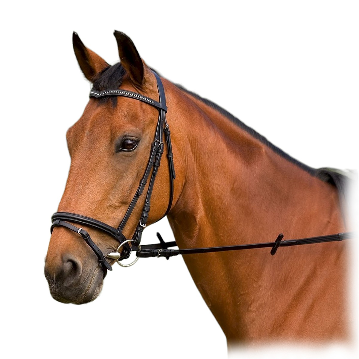 Оголовье трензельное Оголовье трензельное