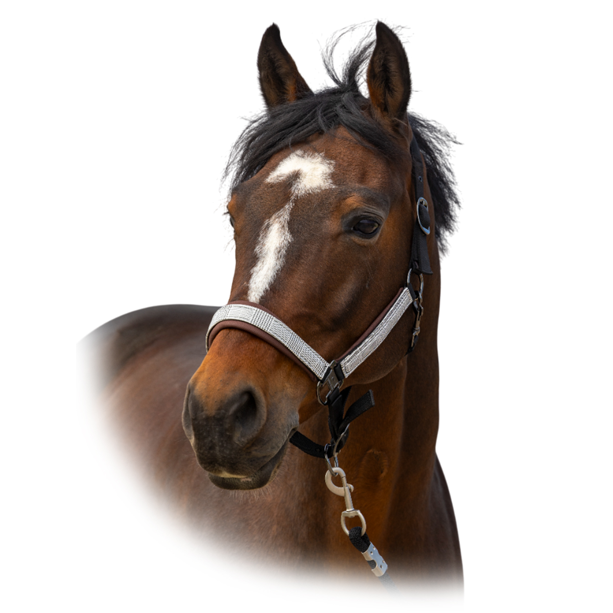 Недоуздок "Nylon Check" Недоуздок "Nylon Check"