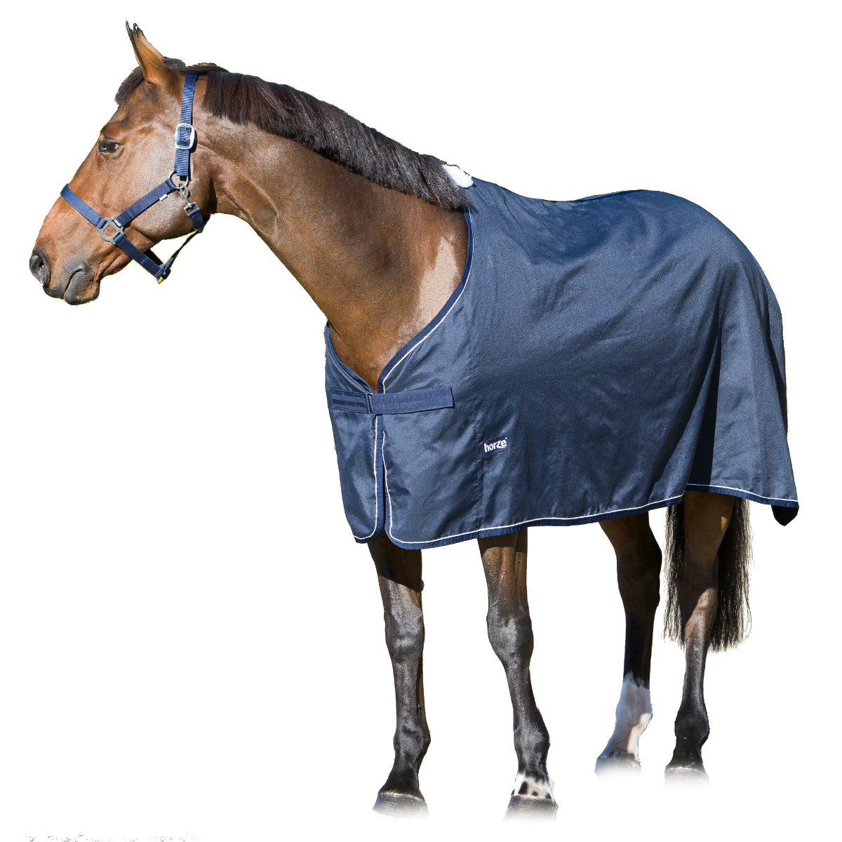 Попона для выступлений для лошади