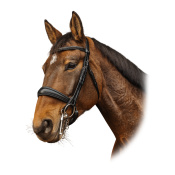 Оголовье мундштучное "Basal"