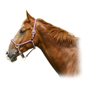 Недоуздок нейлоновый NORTON