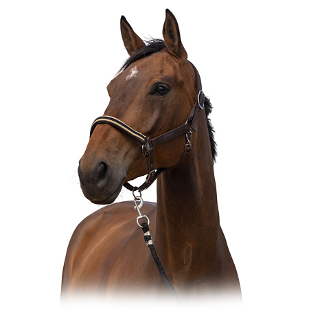 Недоуздок "Nylon Chevron" Поступление недоуздков и оголовьев