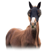 Маска от насекомых LAMI-CELL Маска от насекомых LAMI-CELL