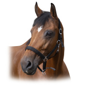 Недоуздок нейлоновый NORTON Недоуздок нейлоновый NORTON