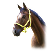 Недоуздок неоновый "FLUO" Недоуздок неоновый "FLUO"