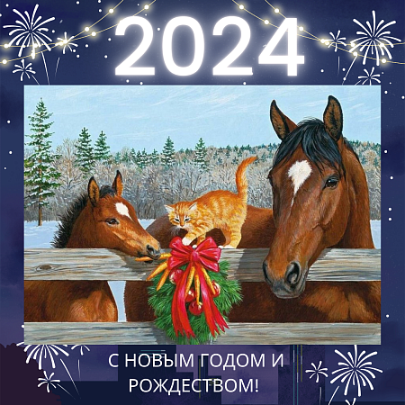 С Новым годом и Рождеством!