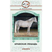 Арабская лошадь, Перепелова О.В. Арабская лошадь, Перепелова О.В.