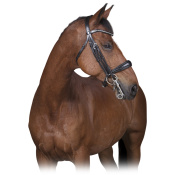 Оголовье мундштучное "NORTON PRO"