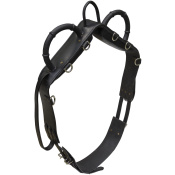 Гурта вольтижировочная Гурта вольтижировочная