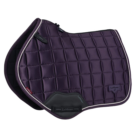 Встречайте новинки! На склад поступили новые модели вальтрапов LeMieux!