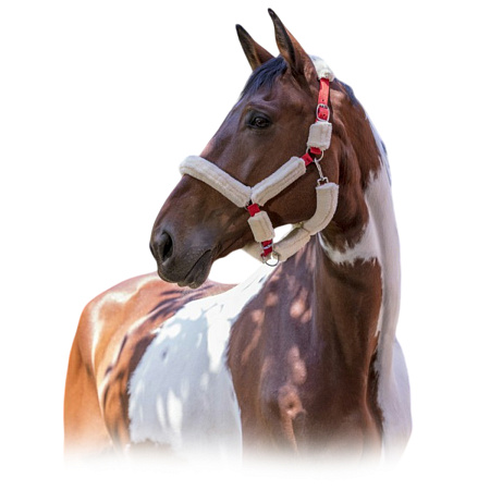 Недоуздок с мехом "Mouton synthétique" Поступление недоуздков и оголовьев