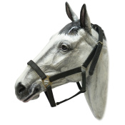 Недоуздок кожаный Недоуздок кожаный