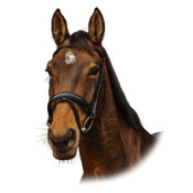 Оголовье трензельное Dark