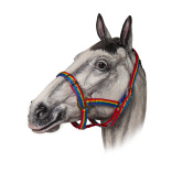 Недоуздок нейлоновый радужный "TAYGA" Недоуздок нейлоновый радужный "TAYGA"