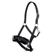 Кавессон Кавессон