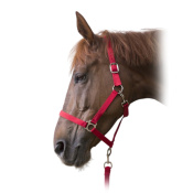 Комплект (недоуздок+чумбур) "CLUB"