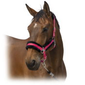 Недоуздок с мехом "Nylon Mouton" Недоуздок с мехом "Nylon Mouton"