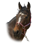 Недоуздок "Nylon Soft" Недоуздок "Nylon Soft"