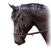 Оголовье Миклема