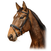 Оголовье трензельное "Apophyse" Оголовье трензельное "Apophyse"