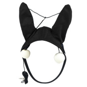 Наушники с "телефоном" Наушники с "телефоном"