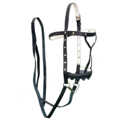 Узда выездная чепрак - сыромять