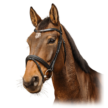 Оголовье трензельное "Galon" Поступление недоуздков и оголовьев