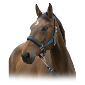 Комплект (недоуздок+чумбур) NORTON Комплект (недоуздок+чумбур) NORTON