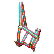 Недоуздок нейлоновый для жеребят Недоуздок нейлоновый для жеребят