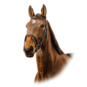 Оголовье трензельное Strass V